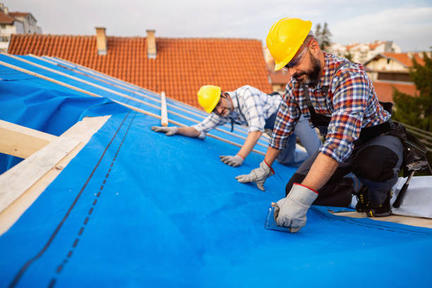 Best Roof Leak Repair  in Tunnel Hill, GA
