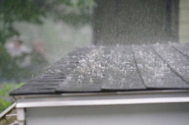 Best Roof Ventilation Installation  in Tunnel Hill, GA
